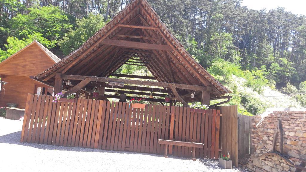 Pension Cartref Saschiz Exterior foto