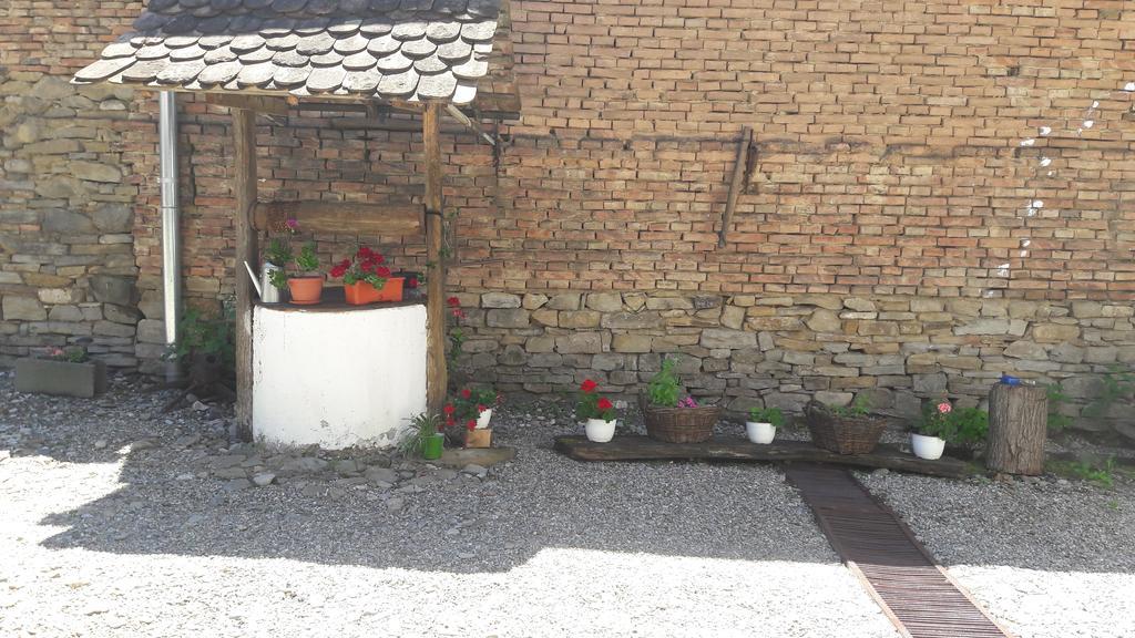 Pension Cartref Saschiz Exterior foto